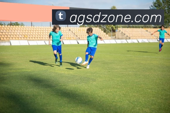 色碟官网平台生态图